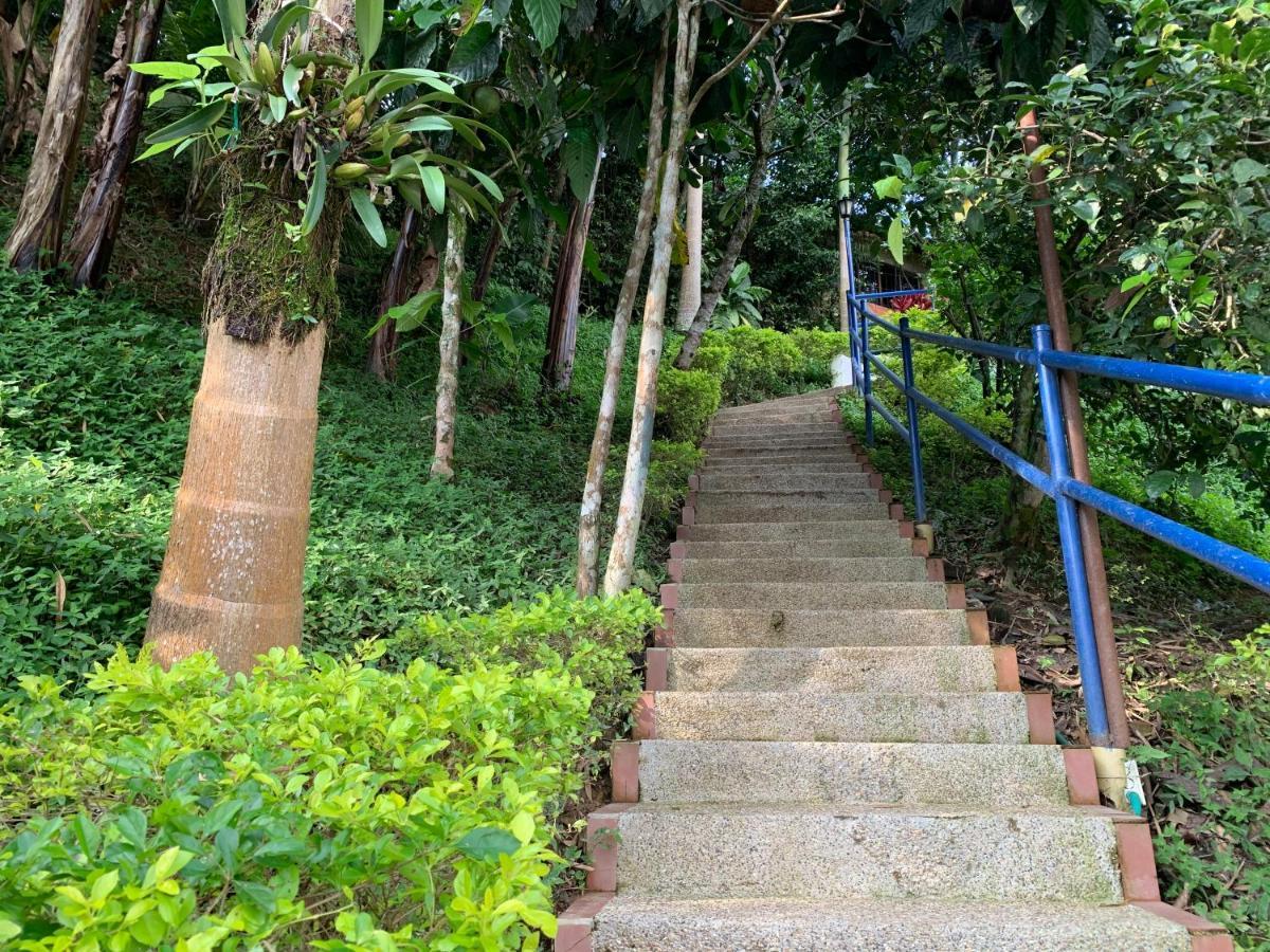Finca Altamira La Vega  Exteriér fotografie
